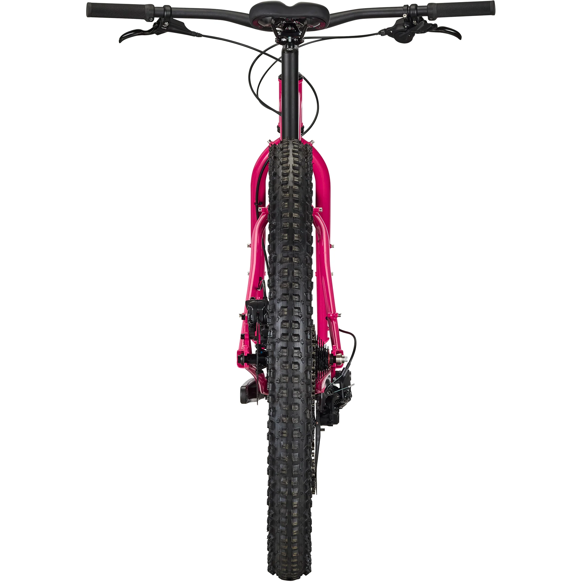 Krampus Rigid - Prickly Pear - Image 5